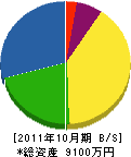 ハヤシ建設 貸借対照表 2011年10月期