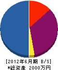 岡田緑地 貸借対照表 2012年6月期