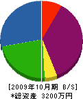 井川電設 貸借対照表 2009年10月期