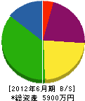 辻田設備工業 貸借対照表 2012年6月期