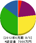 神姫電気工業所 貸借対照表 2012年6月期
