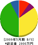 永井建設 貸借対照表 2009年5月期