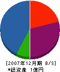 土井卓商店 貸借対照表 2007年12月期