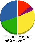 大江電氣 貸借対照表 2011年12月期