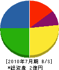 斉藤防災 貸借対照表 2010年7月期