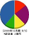青松園 貸借対照表 2009年12月期