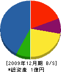 丸山組 貸借対照表 2009年12月期