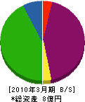ティー・シージャパン 貸借対照表 2010年3月期