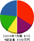 藤原商会 貸借対照表 2010年7月期