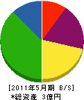 山野井組 貸借対照表 2011年5月期