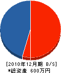 石田ガーデンサービス 貸借対照表 2010年12月期