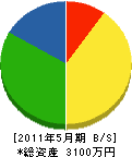 坪田建設 貸借対照表 2011年5月期