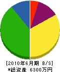 福川設備 貸借対照表 2010年6月期