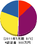 丸松電気 貸借対照表 2011年5月期