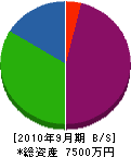 上野設備 貸借対照表 2010年9月期