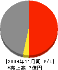 ヤマトイシハタ 損益計算書 2009年11月期
