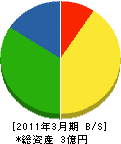 松戸水道センター 貸借対照表 2011年3月期