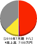 大沢地下工業 損益計算書 2010年7月期