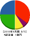 戸川塗装工芸 貸借対照表 2010年9月期