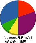 草川塗装 貸借対照表 2010年6月期