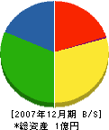 小川建材 貸借対照表 2007年12月期
