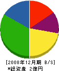 ツヂ商会 貸借対照表 2008年12月期