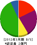 矢野建設 貸借対照表 2012年3月期