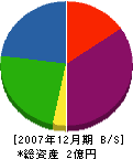 ＊青山住宅設備 貸借対照表 2007年12月期