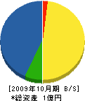 栄和電工 貸借対照表 2009年10月期
