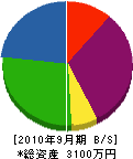 田村電気工業 貸借対照表 2010年9月期