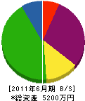 圓井特殊工業 貸借対照表 2011年6月期