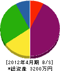 鈴木電気商会 貸借対照表 2012年4月期