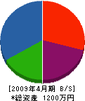 恩田電気 貸借対照表 2009年4月期