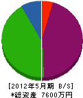 田谷工務店 貸借対照表 2012年5月期