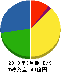 日本ユーティリティサブウェイ 貸借対照表 2013年3月期