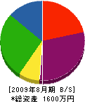 松本組 貸借対照表 2009年8月期