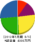 美寿丸電設 貸借対照表 2012年5月期