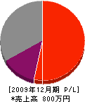 愛須組 損益計算書 2009年12月期
