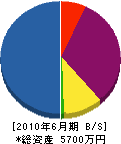 北沢電機 貸借対照表 2010年6月期