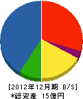 大誠ハウス 貸借対照表 2012年12月期