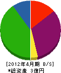 北海道建設サービス 貸借対照表 2012年4月期