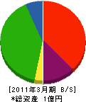 ニューテック 貸借対照表 2011年3月期