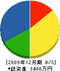 山崎電工 貸借対照表 2009年12月期