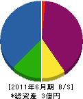 日本ロードマーク 貸借対照表 2011年6月期