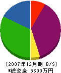 昭和装飾 貸借対照表 2007年12月期