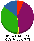 須藤ケンソー 貸借対照表 2012年3月期