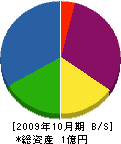 徳永組 貸借対照表 2009年10月期