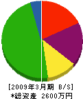 山正金沢商会 貸借対照表 2009年3月期