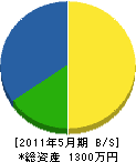 加川電気工事 貸借対照表 2011年5月期