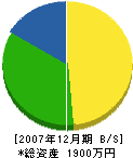 浜田造園 貸借対照表 2007年12月期